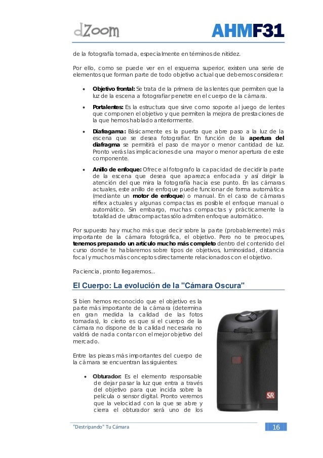 dzoom ahmf31